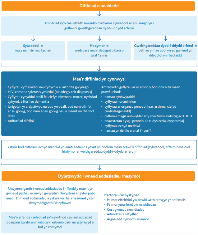 Definition of disability graphic