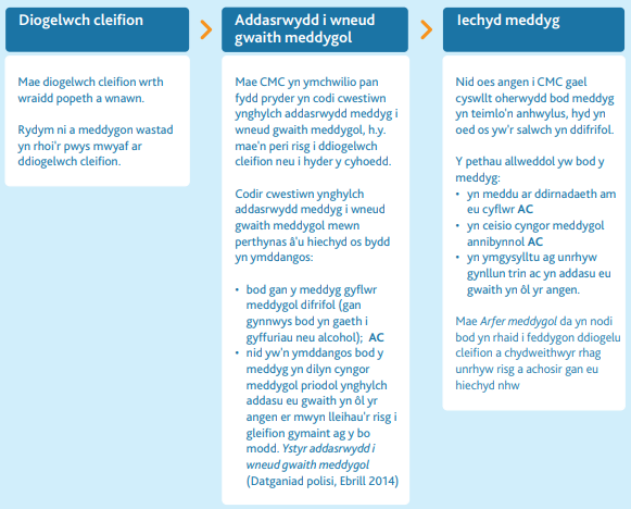 Diagram of patient safety, fitness to practice and a doctor's health